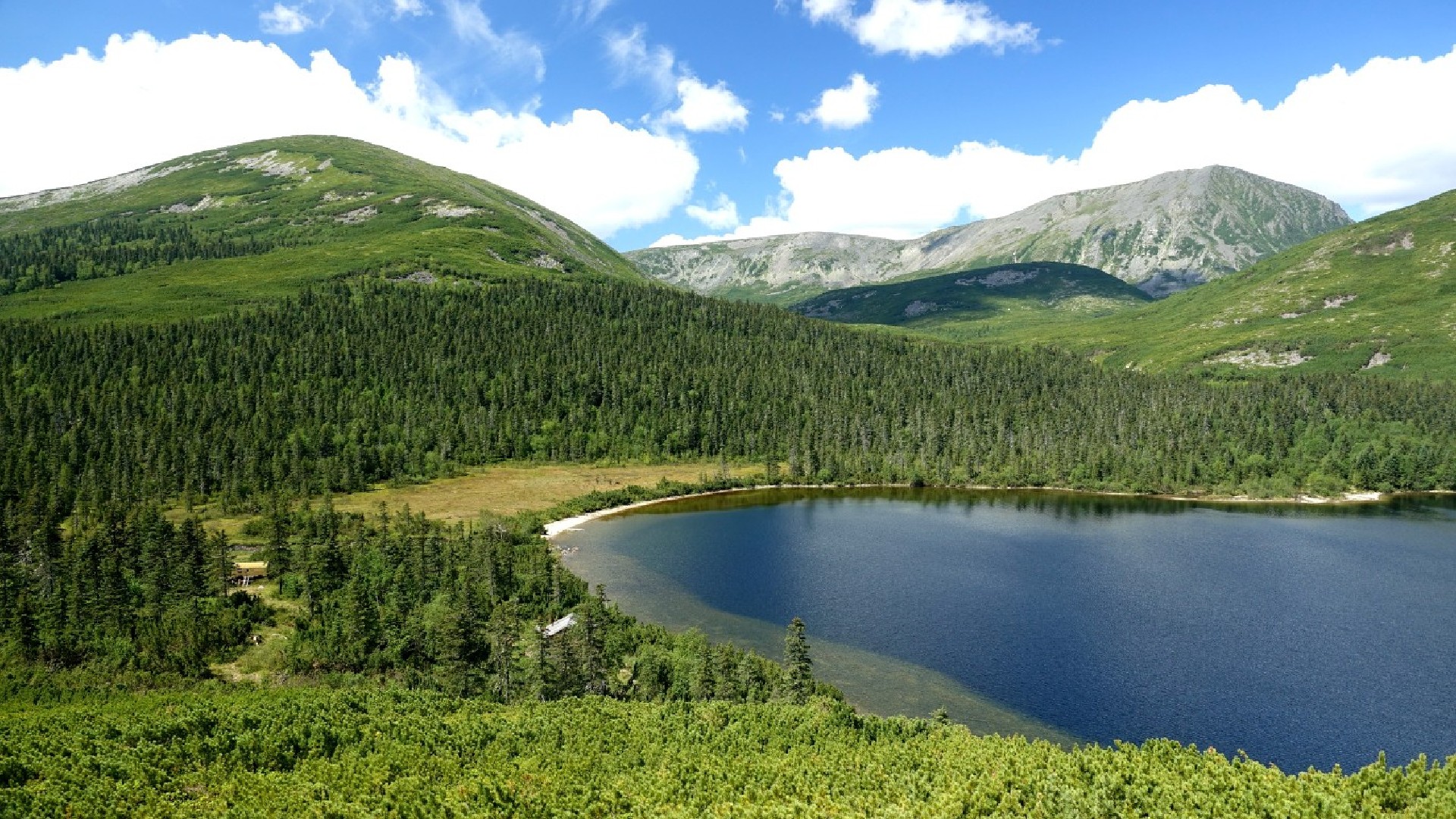 Сулук хабаровский край фото